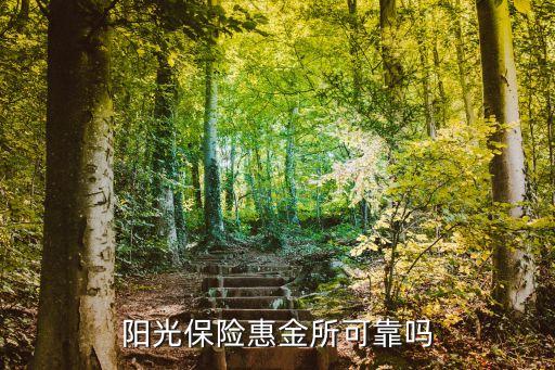 陽光保險惠金所可靠嗎