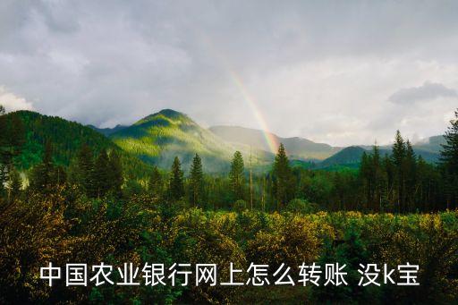 農(nóng)業(yè)銀行沒有k寶怎么轉(zhuǎn)賬，農(nóng)行沒有K寶怎么轉(zhuǎn)賬