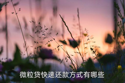 微粒代怎么還款，微粒貸要怎么提前還款