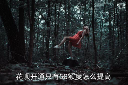 花唄50額度怎么提升，我的花唄只有50額度怎樣提升