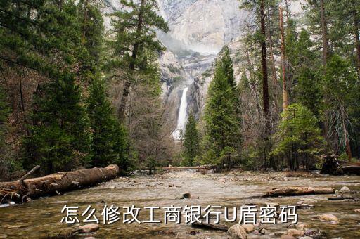 工行u盾丟了怎么改密碼怎么修改，怎么修改工商銀行U盾密碼