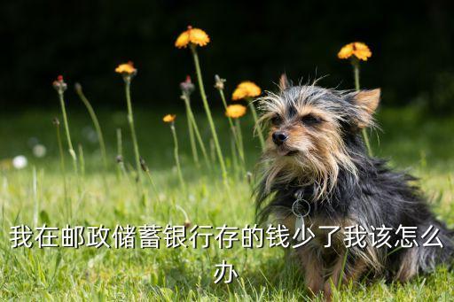 我在郵政儲(chǔ)蓄銀行存的錢(qián)少了我該怎么辦