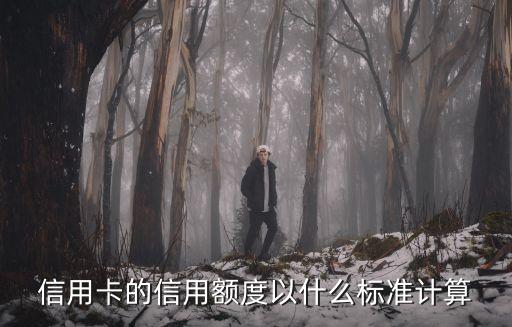 信用卡的信用額度以什么標(biāo)準(zhǔn)計算