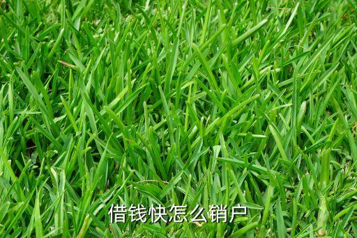 快貸賬戶怎么注銷，借錢快怎么銷戶