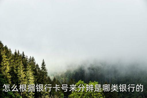 怎么根據(jù)銀行卡號來分辨是哪類銀行的
