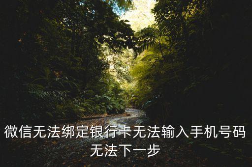 微信綁定銀行卡怎么綁定不了怎么辦啊，微信為什么綁定不了銀行卡