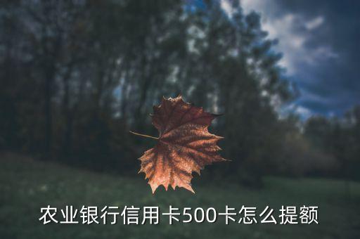農行500額度怎么提升，農業(yè)銀行信用卡500卡怎么提額