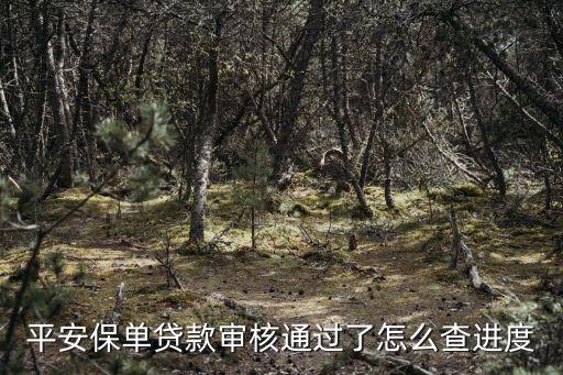 平安保單貸款審核通過了怎么查進(jìn)度