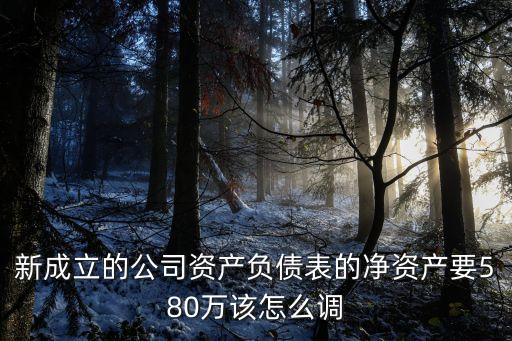 凈資產(chǎn)怎么調(diào)高，資產(chǎn)負(fù)債表中凈資產(chǎn)不足30萬元怎樣調(diào)增