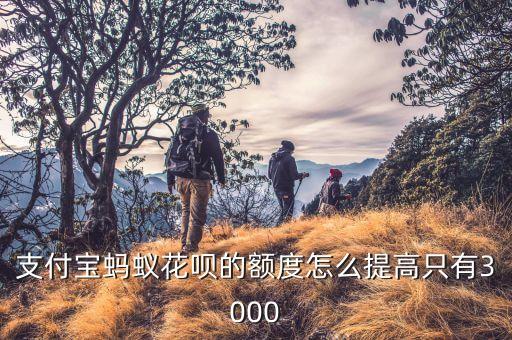 支付寶螞蟻花唄的額度怎么提高只有3000