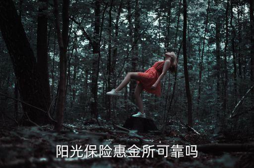 惠金所的惠投資管理有限公司怎么樣，這個(gè)投資管理公司怎么樣