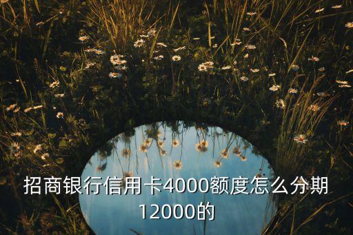 招商銀行信用卡4000額度怎么分期12000的