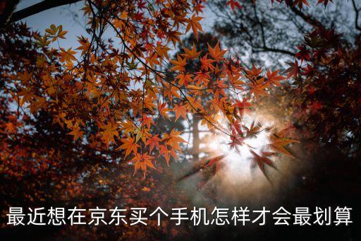 京東怎么買(mǎi)手機(jī)最便宜嗎，最近想在京東買(mǎi)個(gè)手機(jī)怎樣才會(huì)最劃算