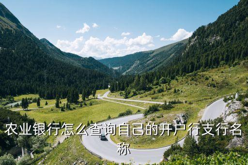 農(nóng)業(yè)銀行怎么查詢自己的開戶行支行名稱