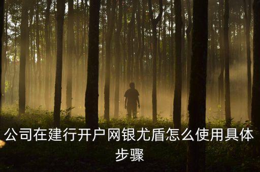 公司在建行開戶網(wǎng)銀尤盾怎么使用具體步驟