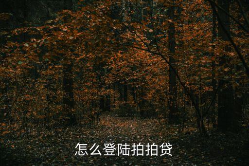 怎么登錄拍拍貸，怎么登陸拍拍貸