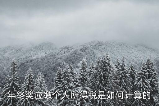 年終獎(jiǎng)應(yīng)繳個(gè)人所得稅是如何計(jì)算的