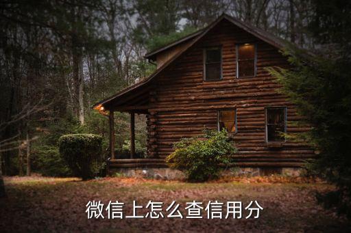 怎么查信用分，怎么才能看到自己在銀行的信用分?jǐn)?shù)