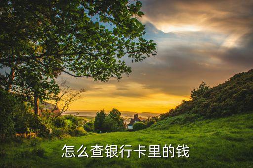 怎么查看卡上余額查詢，想查一下卡上有多少余額