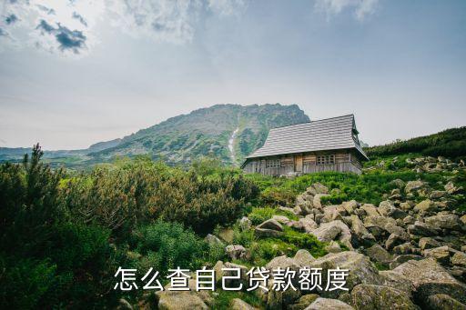 怎么查詢貸款額度，貸款額度怎么查