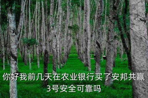 你好我前幾天在農(nóng)業(yè)銀行買了安邦共贏3號(hào)安全可靠嗎