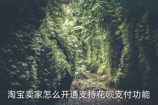 花唄怎么能添加到淘寶，淘寶店怎么可以開通螞蟻花唄支付