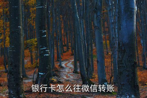 銀行卡的錢怎么轉(zhuǎn)入微信錢包，銀行卡怎么往微信轉(zhuǎn)賬