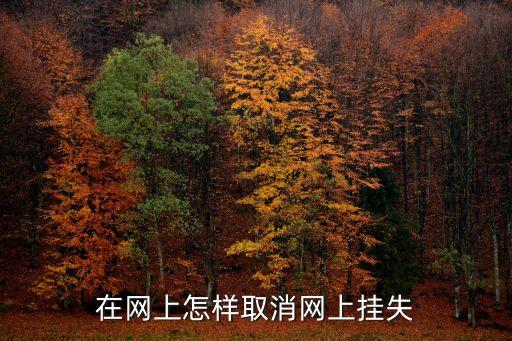 怎么取消 我在網(wǎng)上掛失，我銀行卡網(wǎng)上掛失了 怎么解掛失