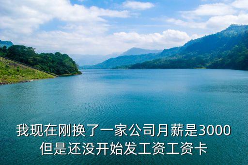 公司沒有給我發(fā)工資怎么辦理信用卡，我剛工作工資是要發(fā)到中信卡上的現(xiàn)在還沒發(fā)工資請問這個可以