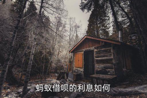 螞蟻借唄和銀行利息怎么算的，螞蟻借唄貸款一萬元一天利息多少 借唄利息計(jì)算公式