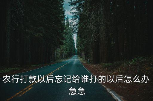 農行打款以后忘記給誰打的以后怎么辦 急急