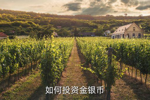 怎么投資紀念幣，投資人民幣收藏是怎么回事怎么投資