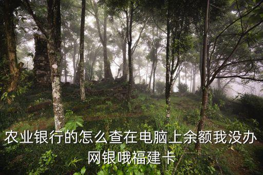農(nóng)業(yè)銀行的怎么查在電腦上余額我沒辦網(wǎng)銀哦福建卡