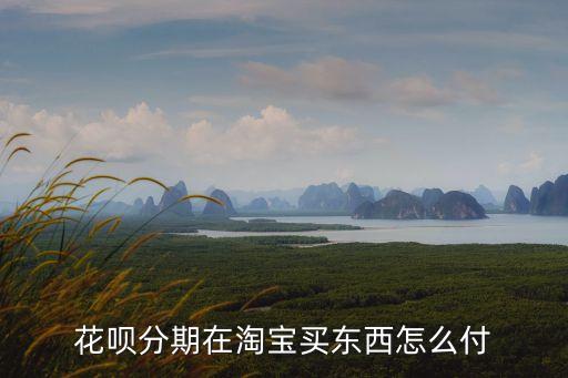 花唄分期在淘寶買東西怎么付