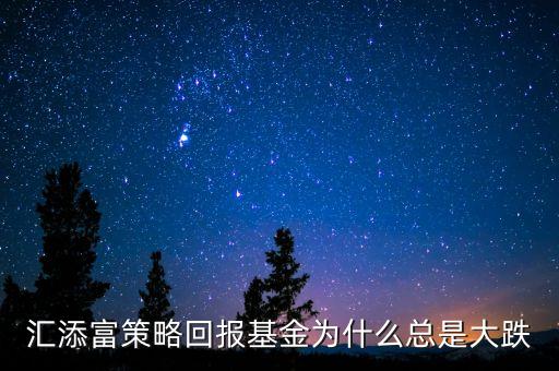 匯添富策略回報(bào)基金為什么總是大跌