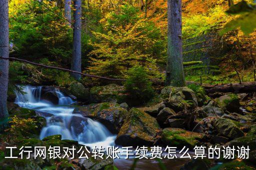 工行網(wǎng)銀對(duì)公轉(zhuǎn)賬手續(xù)費(fèi)怎么算的謝謝