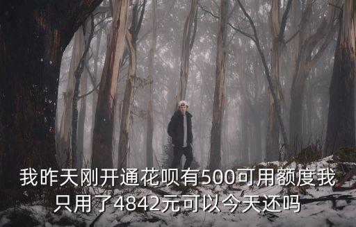 可用額度用了怎么還款，已用額度怎么還