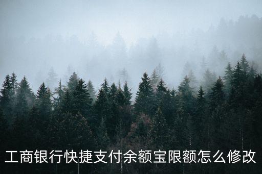 工商銀行快捷支付余額寶限額怎么修改