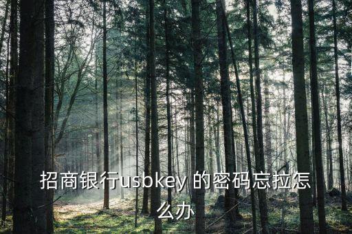 銀行usbkey密碼忘了怎么辦，忘記了建行網(wǎng)銀的USBKEY密碼怎么辦