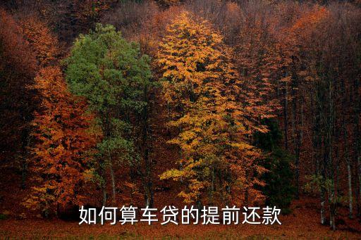 車貸想提前還清怎么算，車貸提前還完 利息怎么算