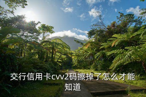 交通cvv2怎么查詢，交通銀行太平洋學(xué)子卡的CVV2CVC2 在哪里