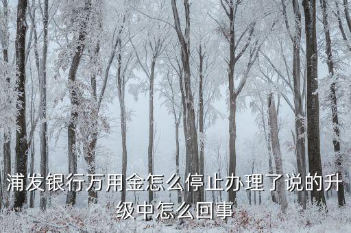 浦發(fā)萬(wàn)用金怎么總是升級(jí)，浦發(fā)信用卡萬(wàn)用金怎么一直在升級(jí)中你們的能用嗎