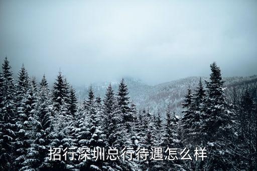 招行深圳總行待遇怎么樣