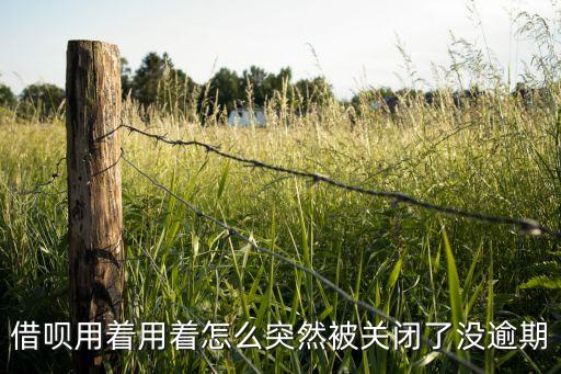 借唄沒還完怎么就關(guān)了，借唄用著用著怎么突然被關(guān)閉了沒逾期