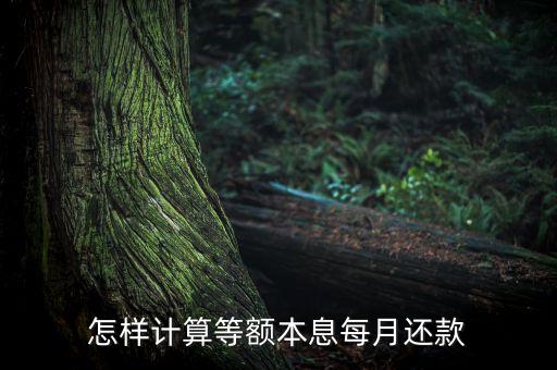 怎樣計算等額本息每月還款