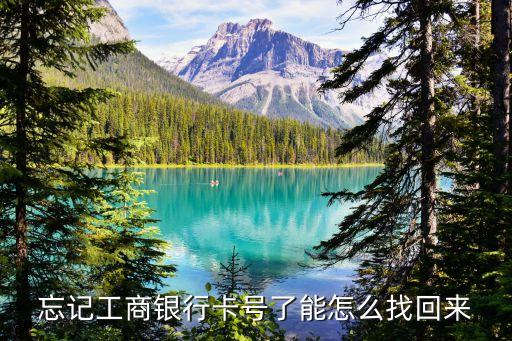 忘記了工商銀行卡號怎么辦，忘記工商銀行卡號了能怎么找回來