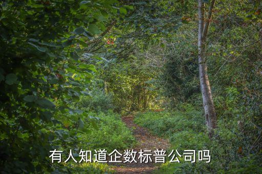 有人知道企數(shù)標普公司嗎