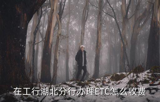在工行湖北分行辦理ETC怎么收費(fèi)