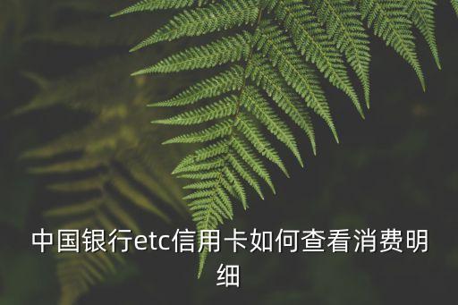 中行etc怎么查詢明細(xì)查詢，ETC通行明細(xì)怎么查