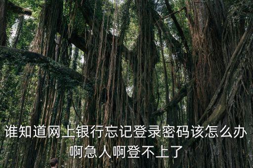 銀行app登陸密碼忘了怎么辦啊，手機銀行忘記登錄密碼怎樣辦
